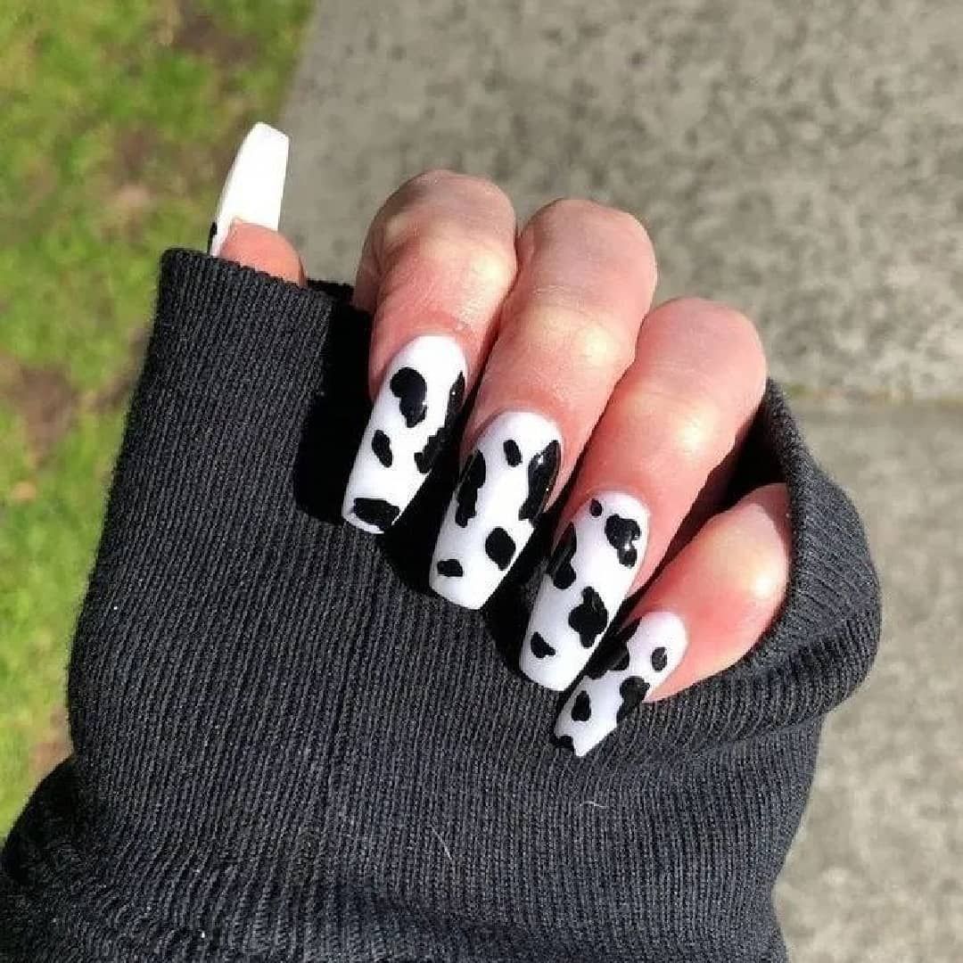 cow nails