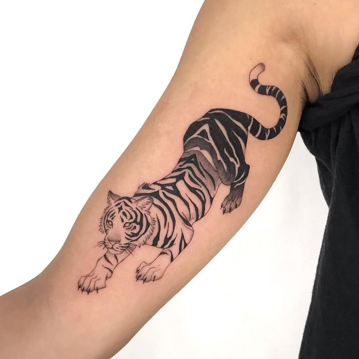 Tiger Tattoo